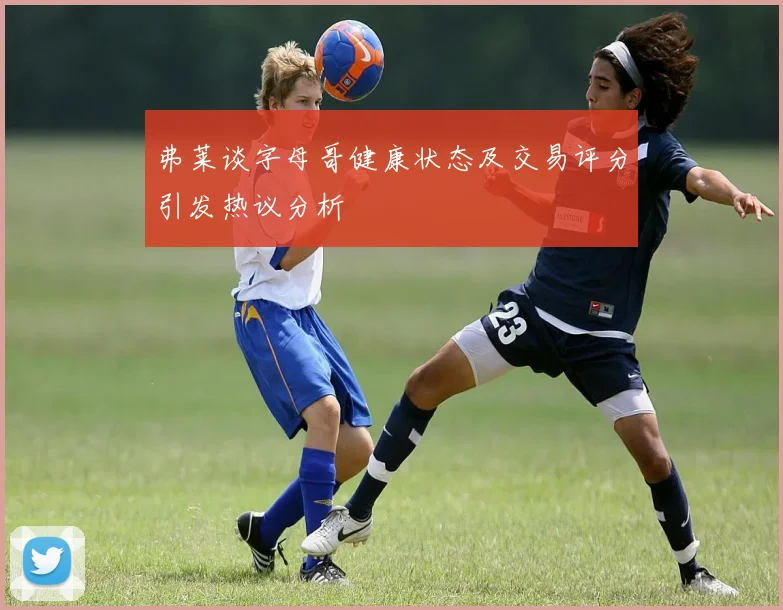 弗莱谈字母哥健康状态及交易评分引发热议分析
