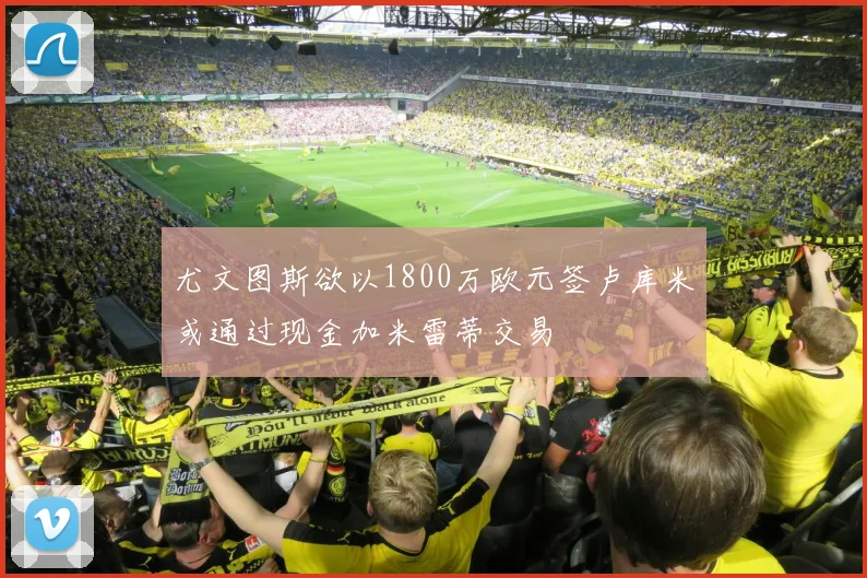 尤文图斯欲以1800万欧元签卢库米或通过现金加米雷蒂交易